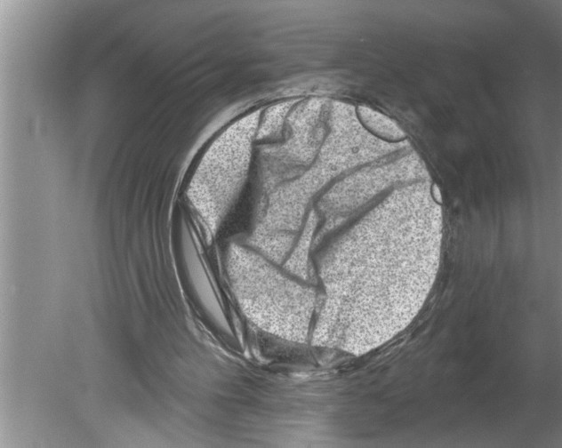 X0000079580100200612301417