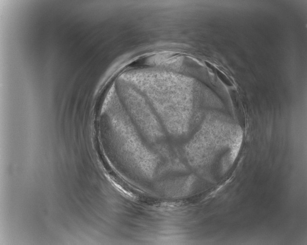 X0000079580101200612301417