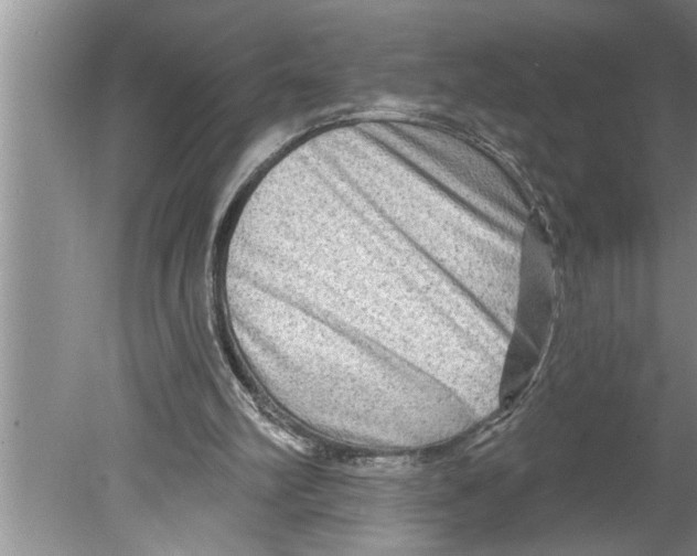 X0000079580102200612301417