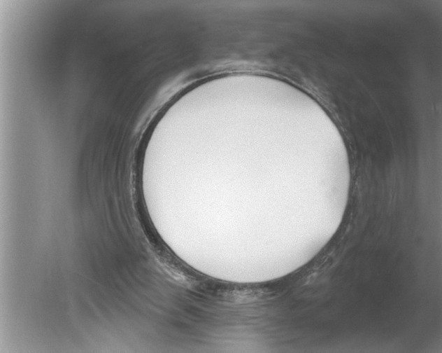 X0000079580103200612301417