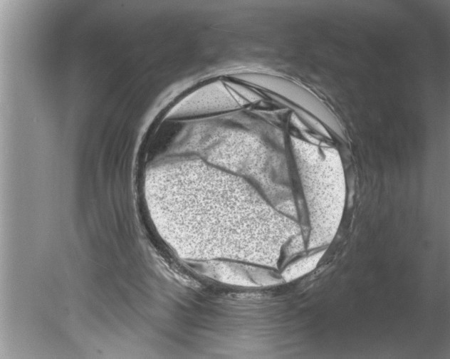 X0000079580104200612301417