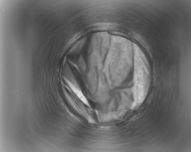 X0000079580105200612301417