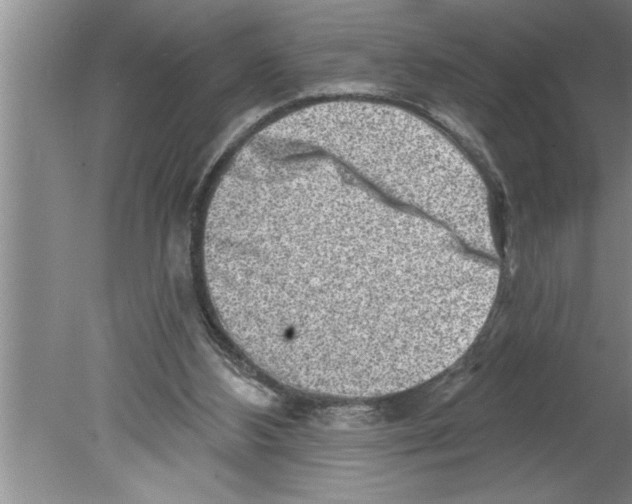 X0000079580108200612301417