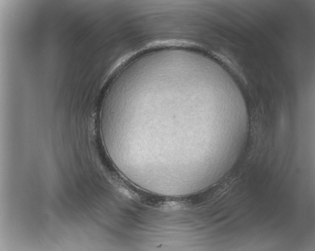 X0000079580111200612301417