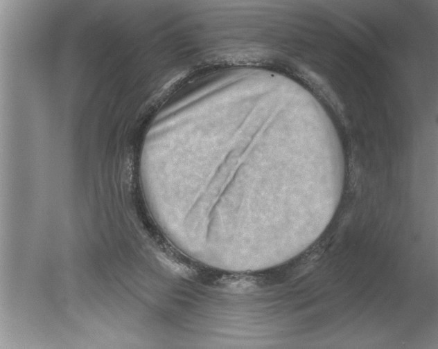 X0000079580113200612301417