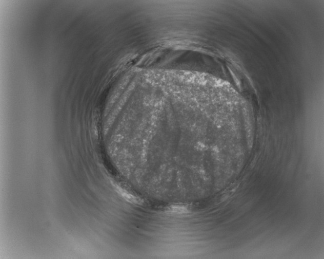 X0000079580114200612301417