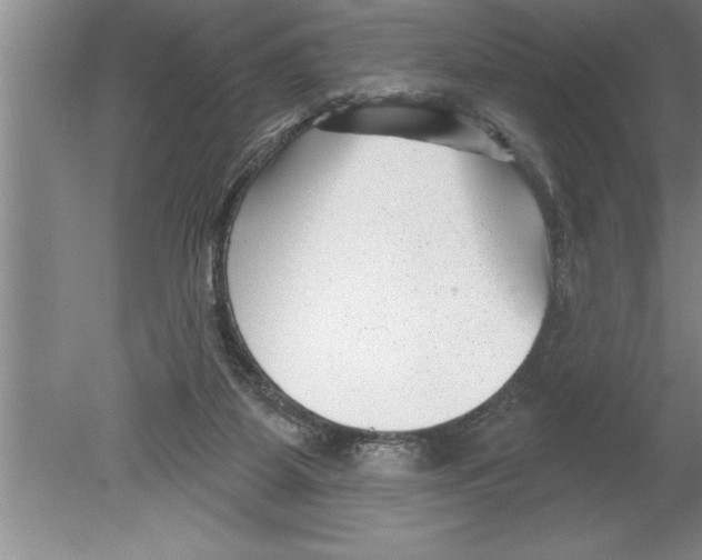 X0000079580115200612301417