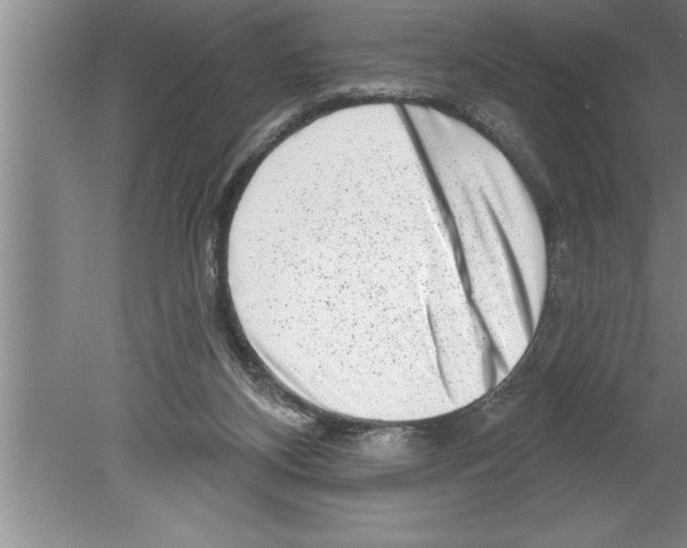 X0000079580116200612301417