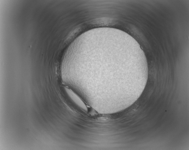 X0000079580119200612301417