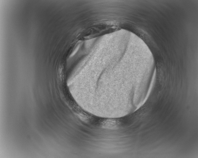 X0000079580123200612301417