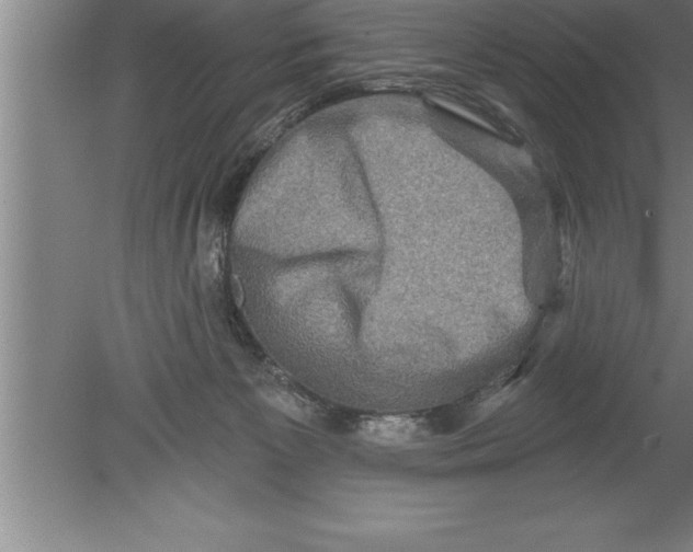 X0000079580125200612301417