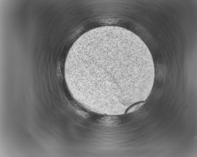 X0000079580128200612301416