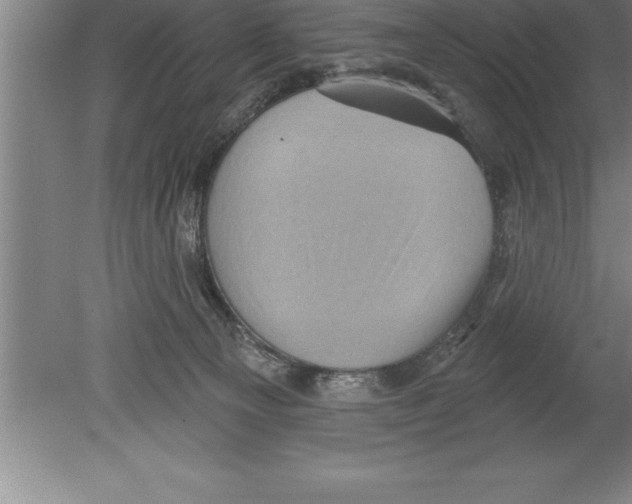 X0000079580129200612301416