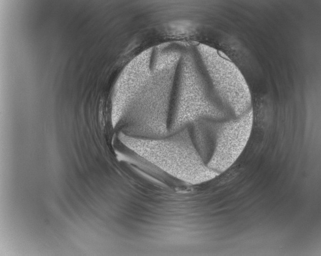 X0000079580131200612301416