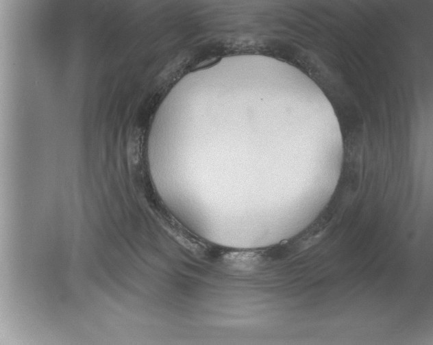 X0000079580133200612301416