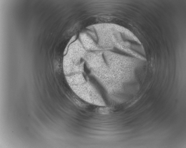 X0000079580134200612301416