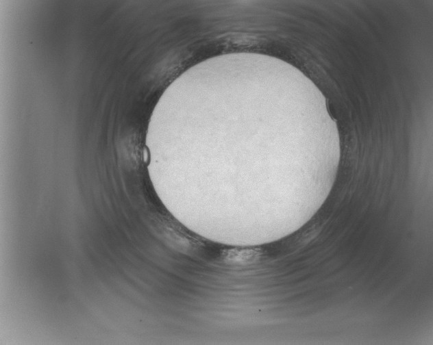 X0000079580135200612301416