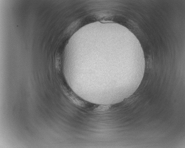 X0000079580138200612301416