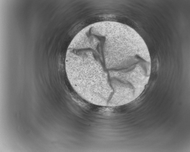 X0000079580140200612301416