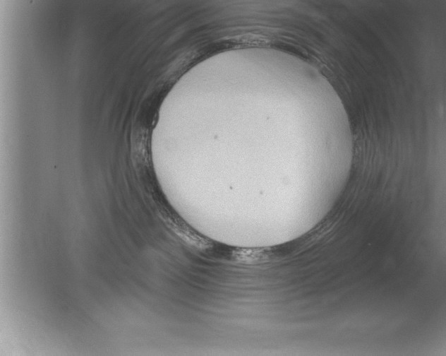 X0000079580141200612301416