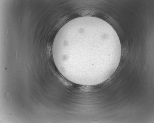 X0000079580142200612301416