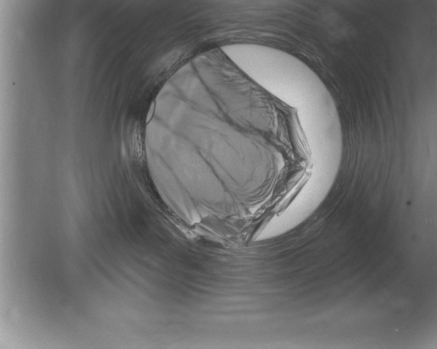 X0000079580143200612301416