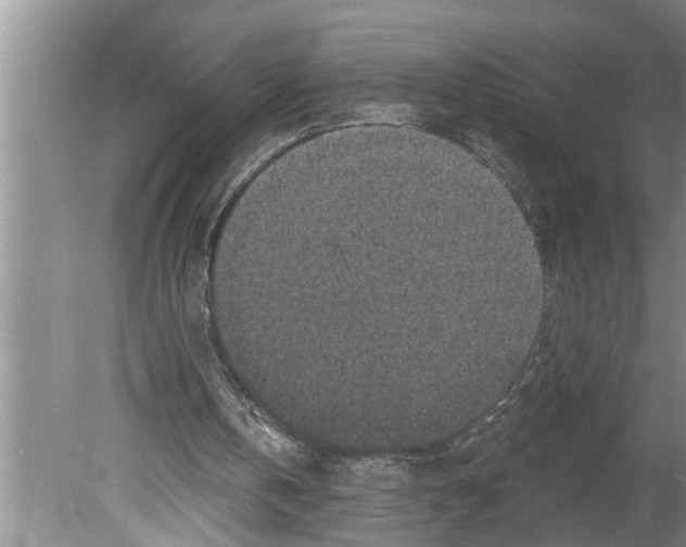 X0000079580146200612301415