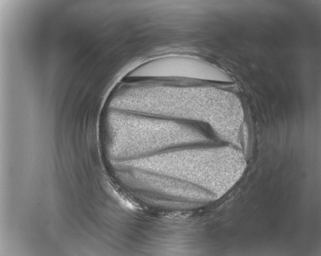 X0000079580148200612301415