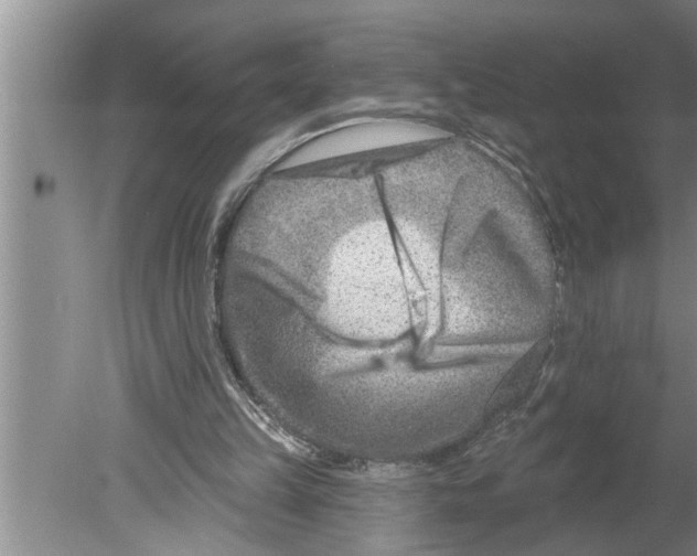 X0000079580149200612301415