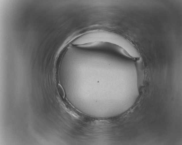 X0000079580150200612301415