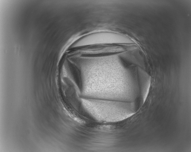 X0000079580152200612301416