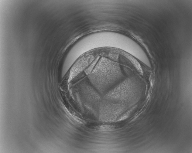 X0000079580154200612301416