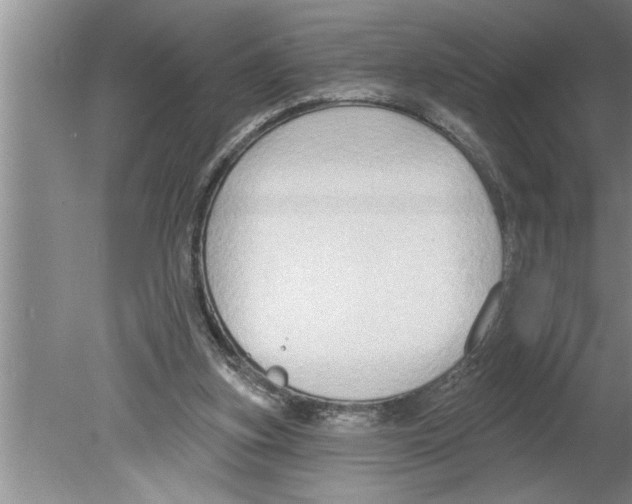 X0000079580155200612301416