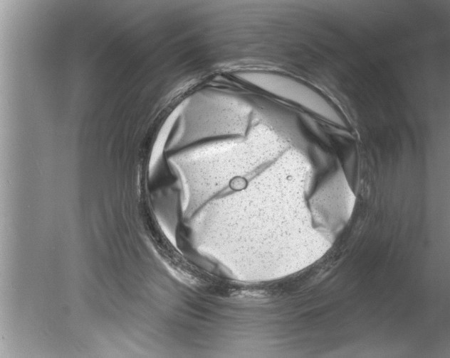 X0000079580157200612301416