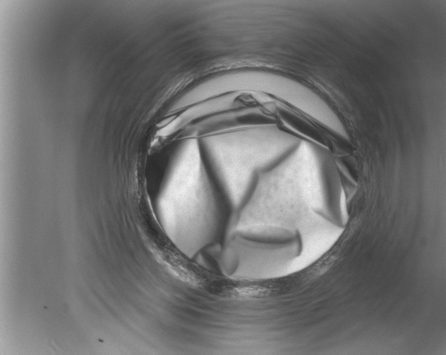 X0000079580158200612301416