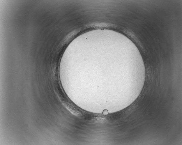 X0000079580159200612301416