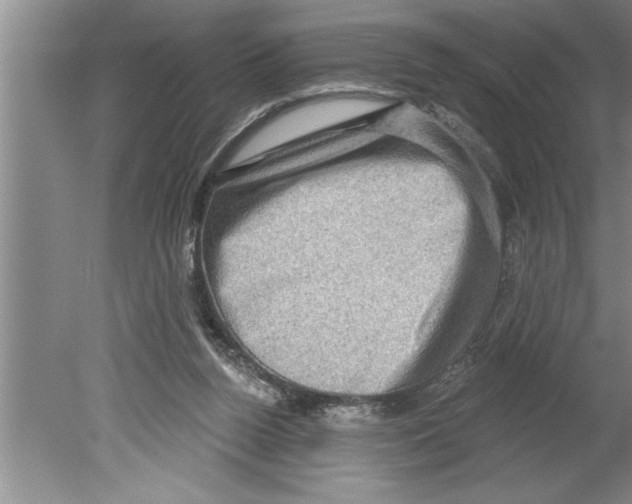 X0000079580160200612301416