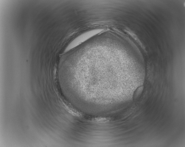 X0000079580161200612301416