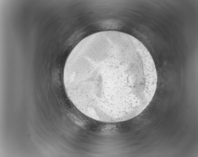 X0000079580162200612301416