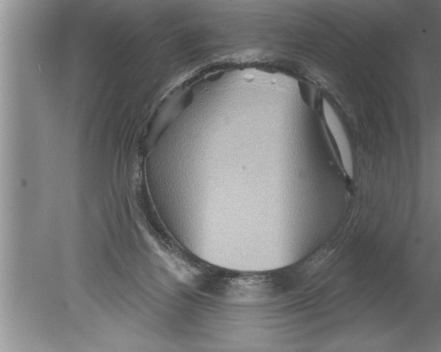 X0000079580164200612301416