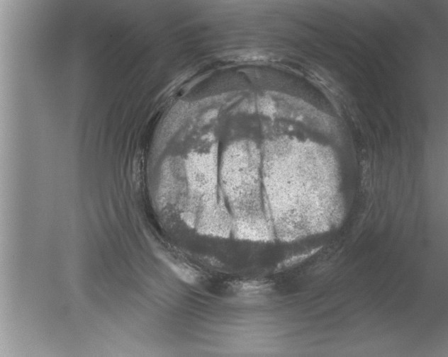 X0000079580165200612301416