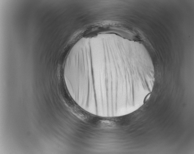 X0000079580167200612301416