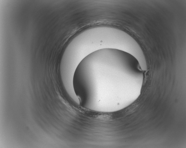 X0000079580168200612301416