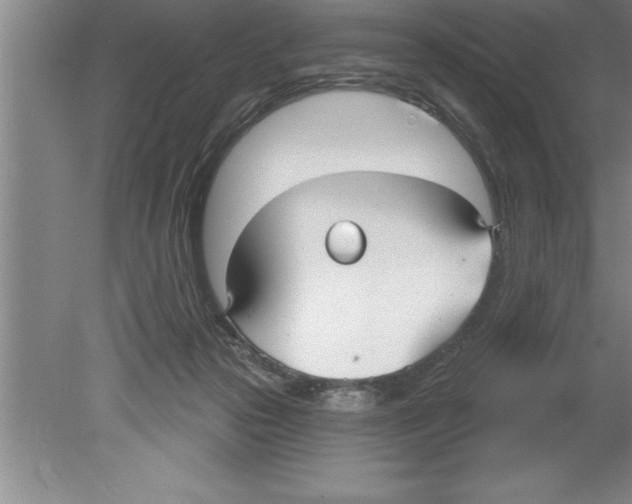 X0000079580169200612301416