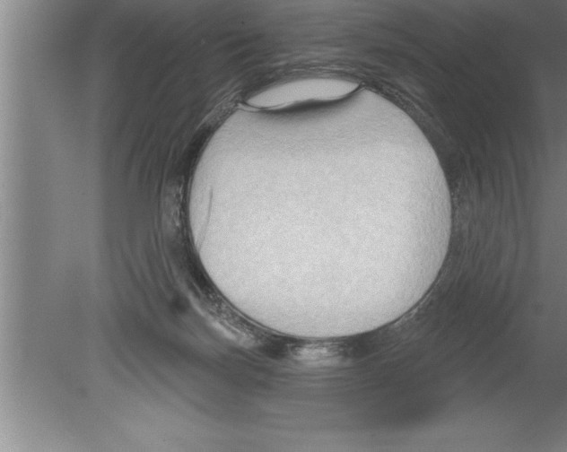 X0000079580171200612301416