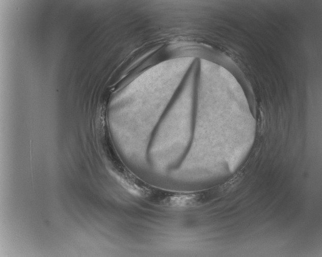 X0000079580172200612301416