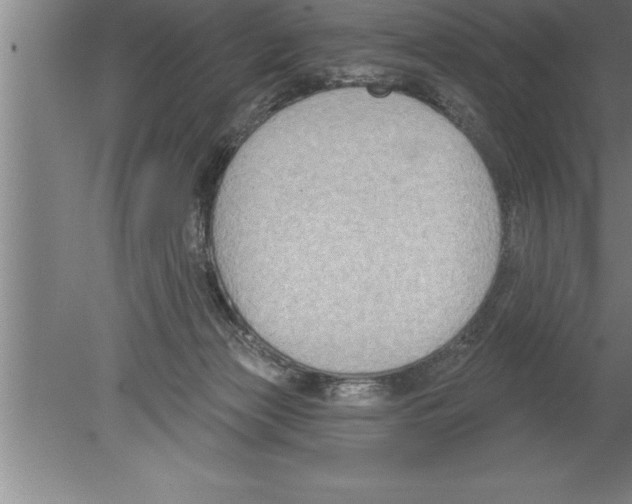 X0000079580173200612301416