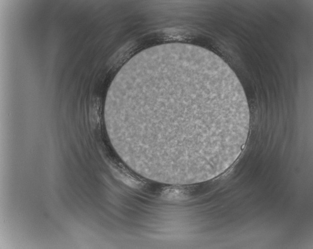 X0000079580174200612301416