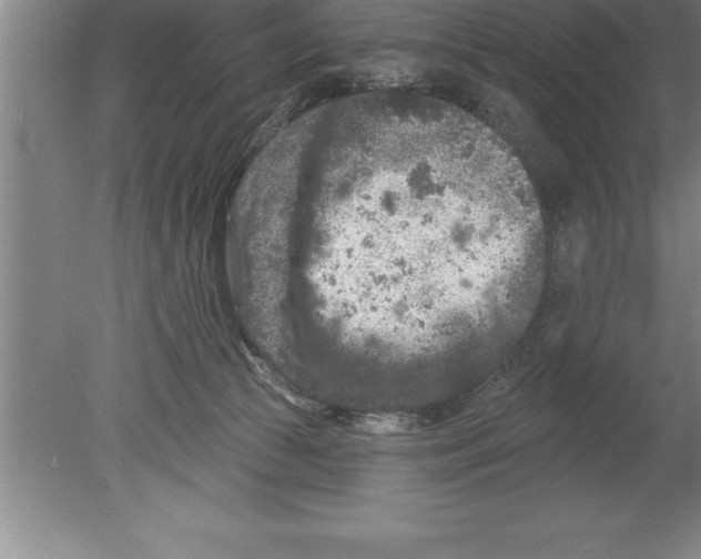 X0000079580177200612301416