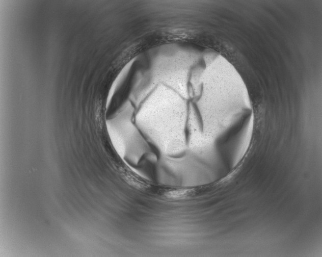 X0000079580178200612301416